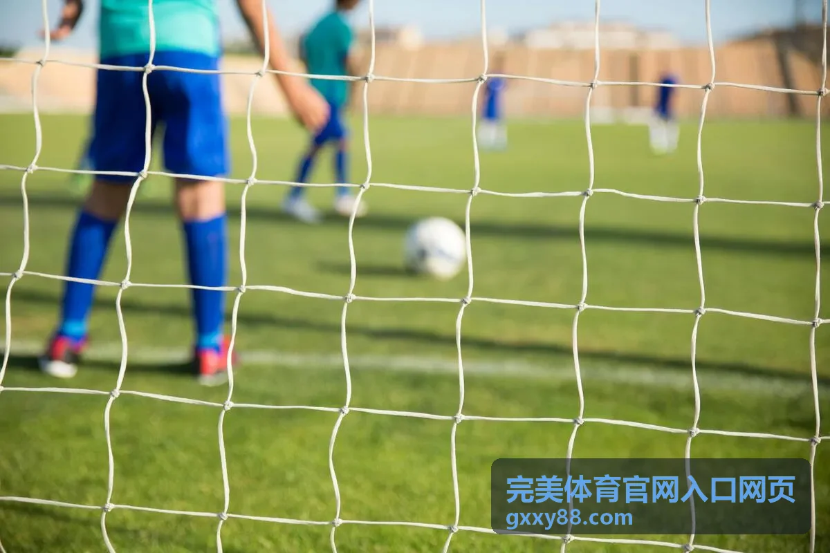完美体育官网入口网页访问路径核对说明封面