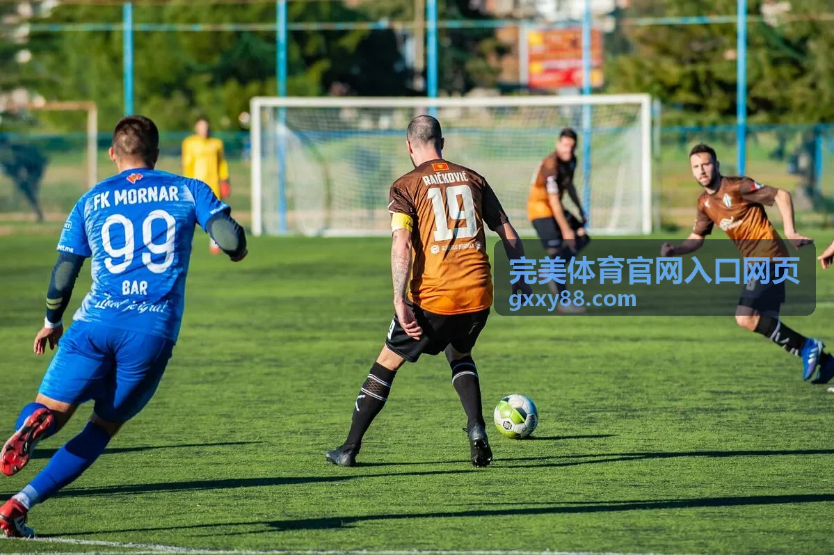 完美体育官网入口网页使用步骤说明封面